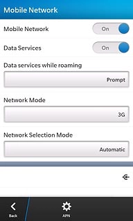 Press the indicator next to Data Services to activate or deactivate the function.