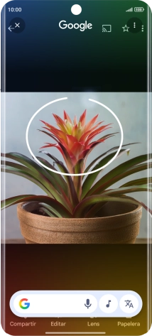 Rodea con un círculo el elemento deseado de la fotografía y espera a que aparezcan los resultados de búsqueda.