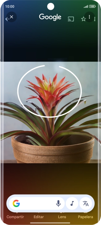 Rodea con un círculo el elemento deseado de la fotografía y espera a que aparezcan los resultados de búsqueda.