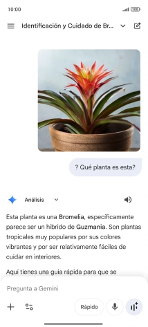 Sigue las indicaciones de la pantalla para escribir o decir en alto la pregunta deseada. Puedes adjuntar fotografías o documentos y hacer preguntas acerca de ellos.