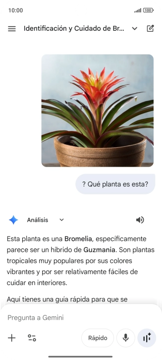 Sigue las indicaciones de la pantalla para escribir o decir en alto la pregunta deseada. Puedes adjuntar fotografías o documentos y hacer preguntas acerca de ellos.