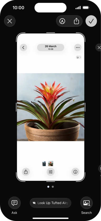 To use visual intelligence via screenshot, take a screenshot and follow the instructions on the screen to use the function.