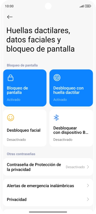 Pulsa Bloqueo de pantalla.