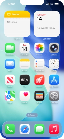 The network mode icon shows the network mode currently used by your phone.