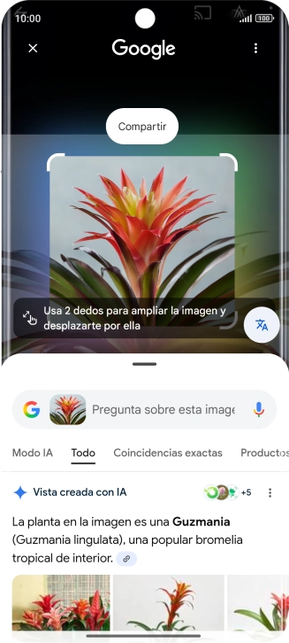 Sigue las indicaciones de la pantalla para utilizar los resultados de búsqueda.