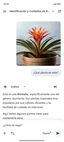 Sigue las indicaciones de la pantalla para escribir o decir en alto más preguntas y continuar la conversación.