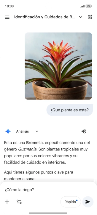 Sigue las indicaciones de la pantalla para escribir o decir en alto más preguntas y continuar la conversación.