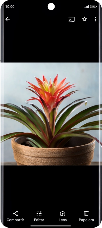 Desplázate a la fotografía deseada.