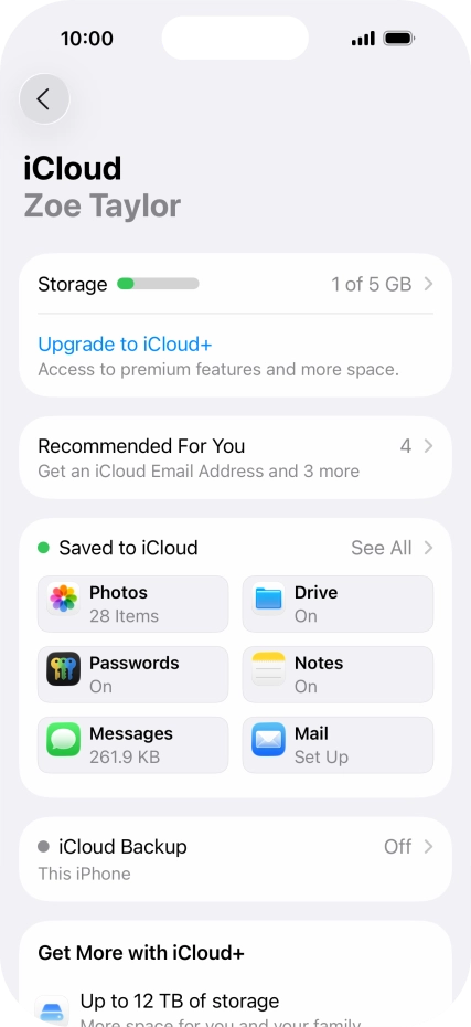 Press iCloud Backup.