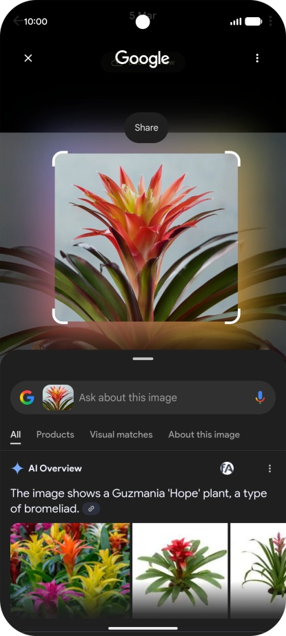 Follow the instructions on the screen to use the search results.