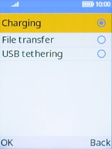 Select File transfer.