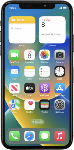 Apple iPhone X