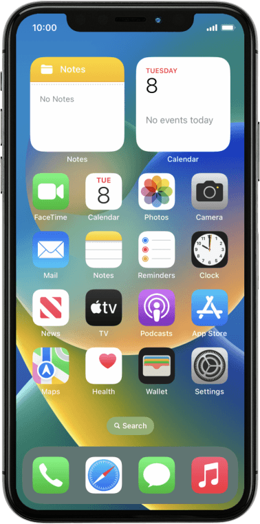 Apple iPhone X