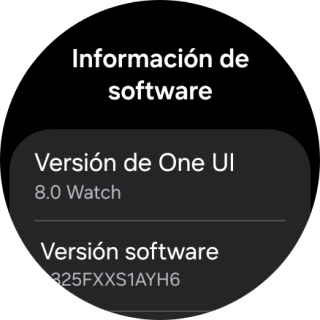 Bajo Versión software aparece la versión de software del smartwatch.