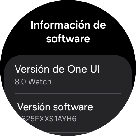 Bajo Versión software aparece la versión de software del smartwatch.