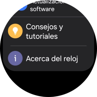 Pulsa Acerca del reloj.