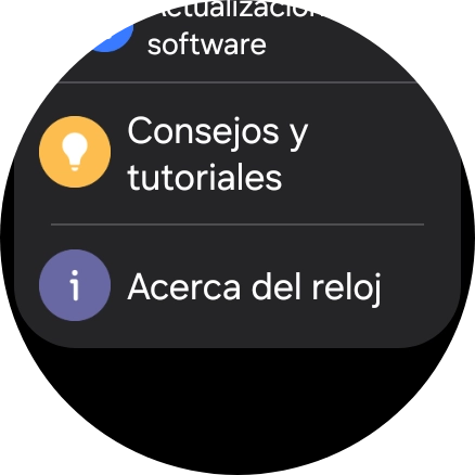 Pulsa Acerca del reloj.