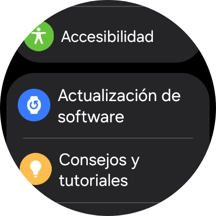 Pulsa Actualización de software.
