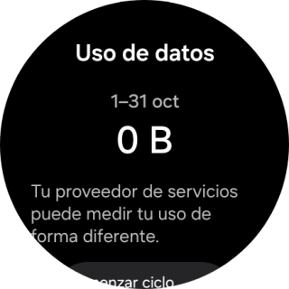 El consumo total de datos se visualiza ahora en la pantalla.