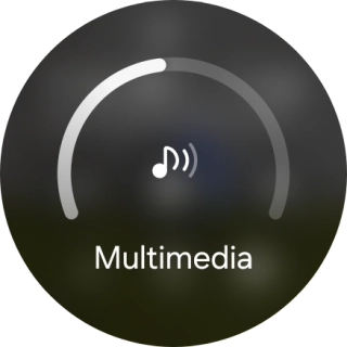 Desliza el dedo por el círculo para seleccionar el volumen deseado.