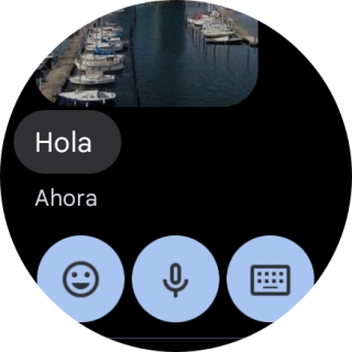 Pulsa el icono de micrófono.