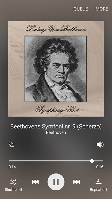 Press the shuffle icon to turn the function on or off.