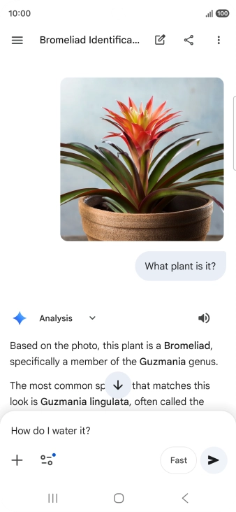 Follow the instructions on the screen to type or speak more questions to continue the conversation.