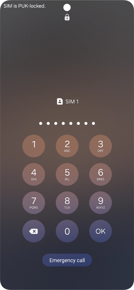 Key in the PUK and press OK.