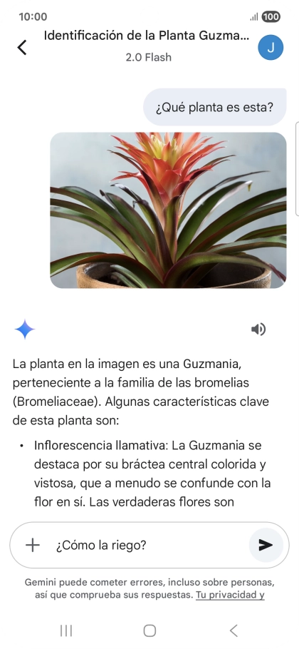 Sigue las indicaciones de la pantalla para escribir o decir en alto más preguntas y continuar la conversación.