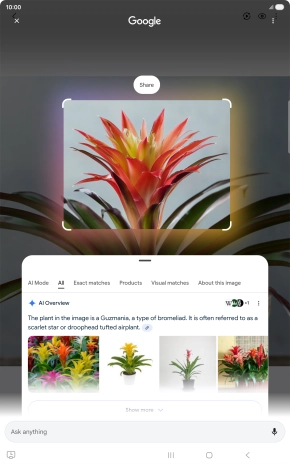 Follow the instructions on the screen to use the search results.