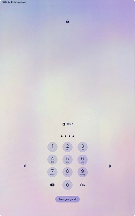 Key in a new four-digit PIN and press OK.