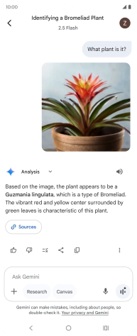 Follow the instructions on the screen to type or speak the required question. You can also attach pictures or documents and ask questions to them.