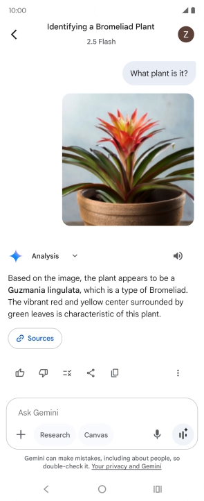 Follow the instructions on the screen to type or speak the required question. You can also attach pictures or documents and ask questions to them.