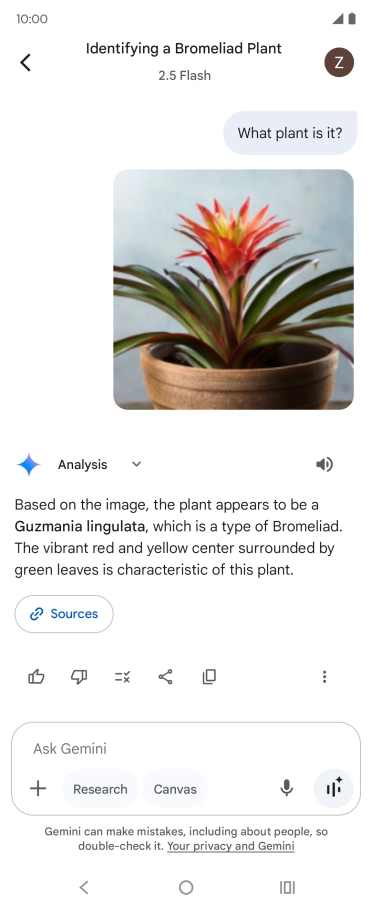 Follow the instructions on the screen to type or speak the required question. You can also attach pictures or documents and ask questions to them.