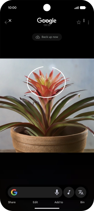 Draw a circle around the required object on the picture and wait for the search results.