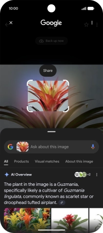 Follow the instructions on the screen to use the search results.