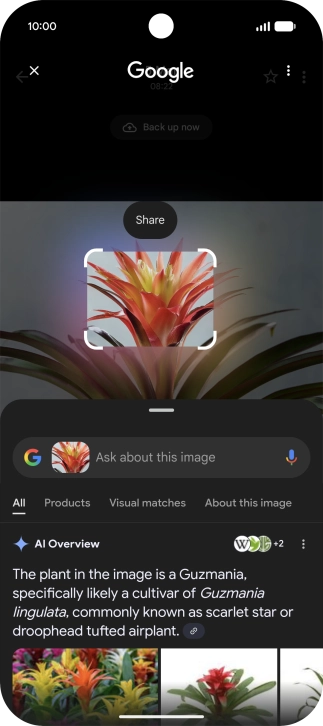 Follow the instructions on the screen to use the search results.