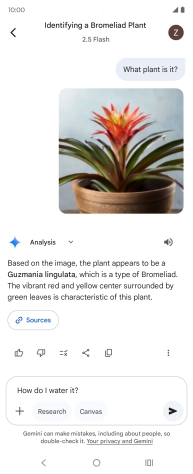 Follow the instructions on the screen to type or speak more questions to continue the conversation.