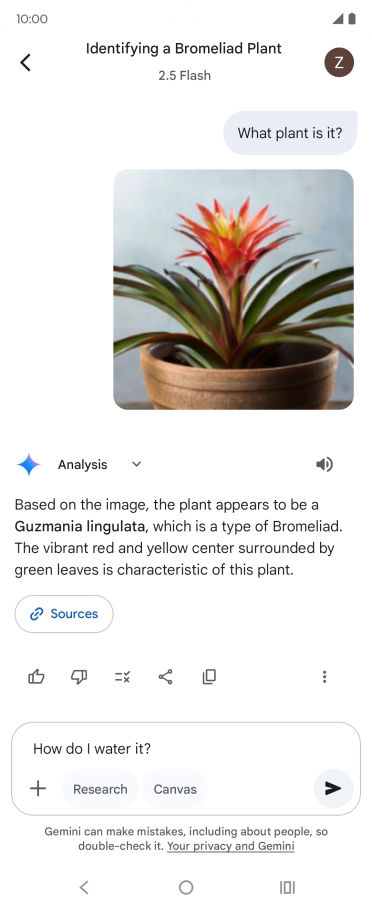 Follow the instructions on the screen to type or speak more questions to continue the conversation.