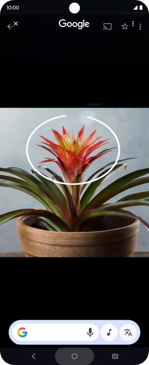 Draw a circle around the required object on the picture and wait for the search results.