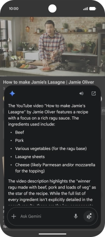 The answer from Gemini to your question is displayed.
