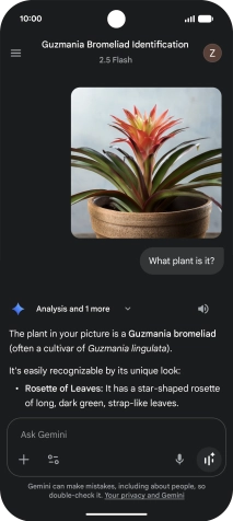 Follow the instructions on the screen to type or speak the required question. You can also attach pictures or documents and ask questions to them.