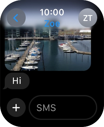 Press SMS.