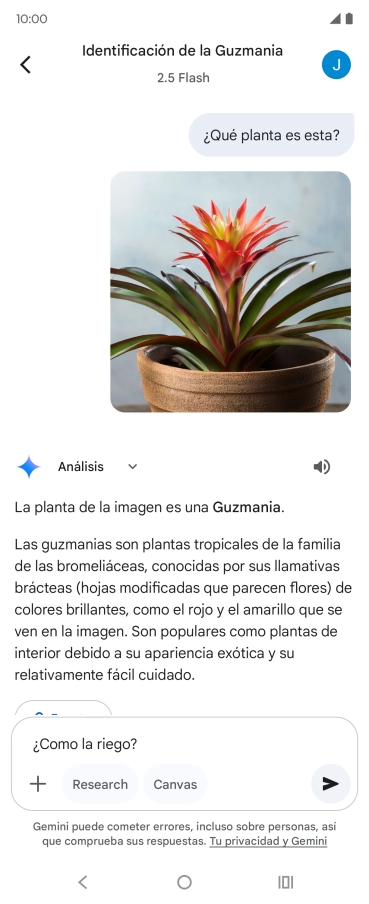 Sigue las indicaciones de la pantalla para escribir o decir en alto más preguntas y continuar la conversación.