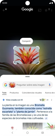 Mantén pulsada la tecla de inicio durante unos instantes.