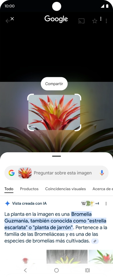 Mantén pulsada la tecla de inicio durante unos instantes.