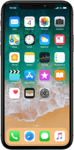 Apple iPhone X