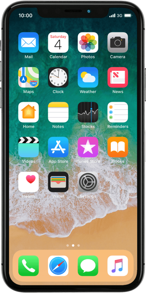 Apple iPhone X