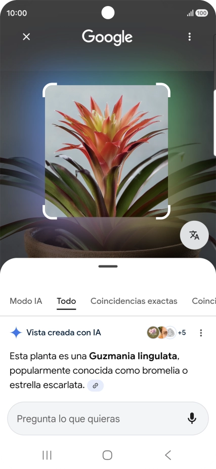 Sigue las indicaciones de la pantalla para utilizar los resultados de búsqueda.