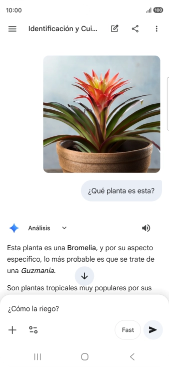 Sigue las indicaciones de la pantalla para escribir o decir en alto más preguntas y continuar la conversación.